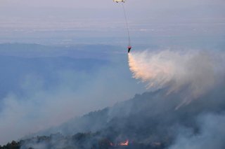 L'incendie grec est le plus gros feu de forêt d'un seul tenant depuis 2008, selon l'EMS. La superficie brûlée correspond à la taille d'une ville comme New York (image d'archives).